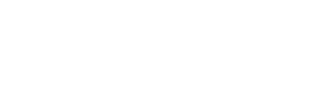 the-wed-logo