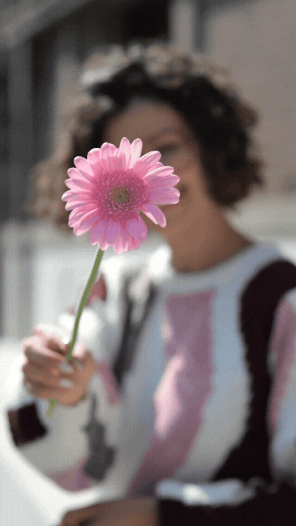 Evelyne Mertens content videograaf Antwerpen