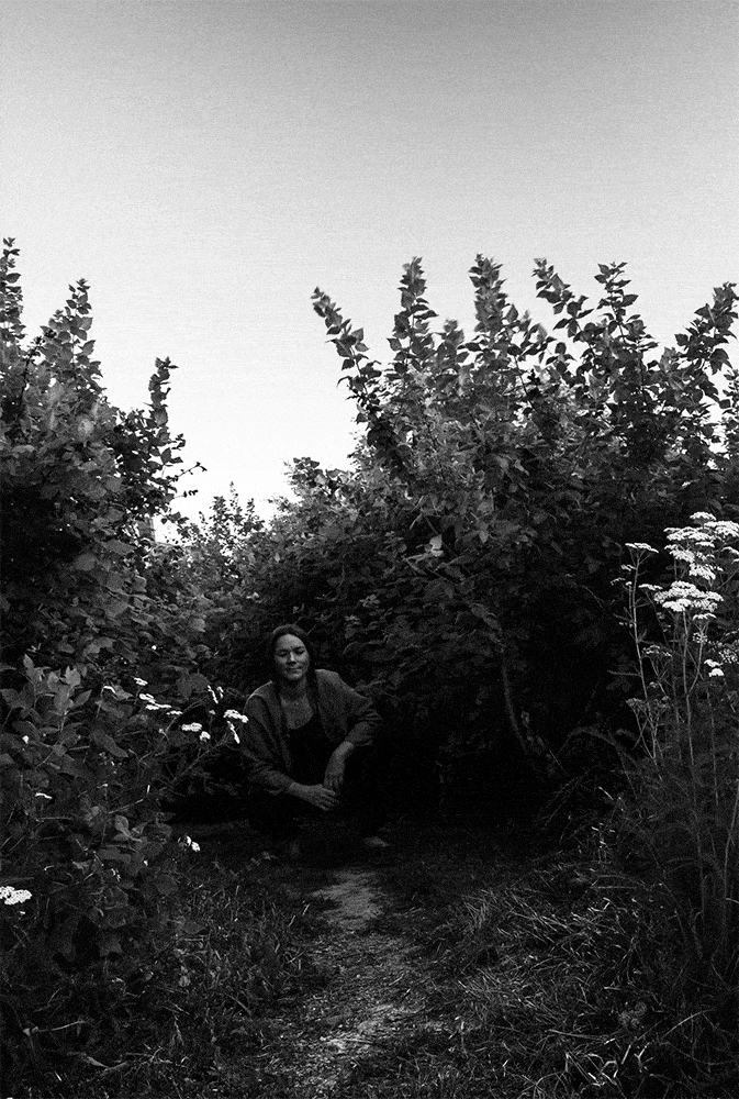 indigo_plants