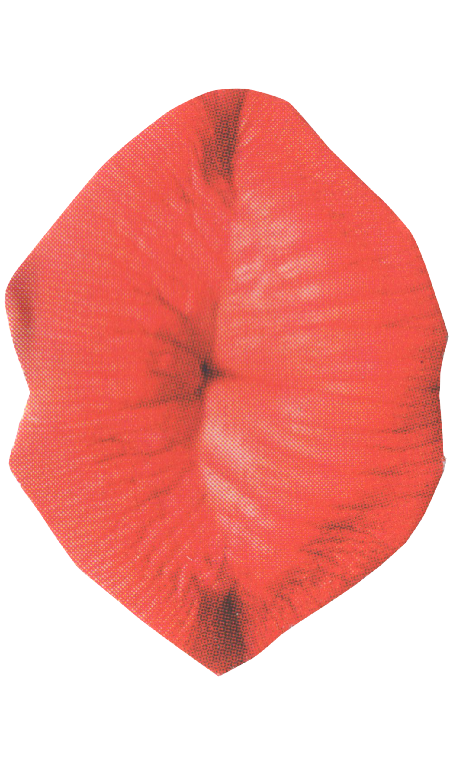 red-lips-cutout-for-showit-one-page-website-cherry-guapa-studios-joyce