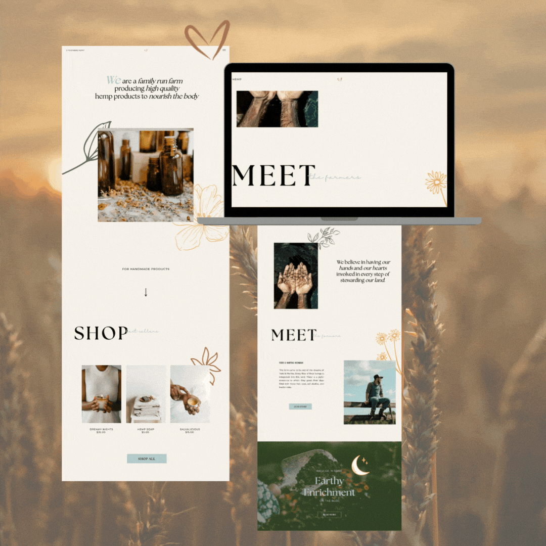 TFHWEBSITEPortfolio3-ezgif.com-optimize