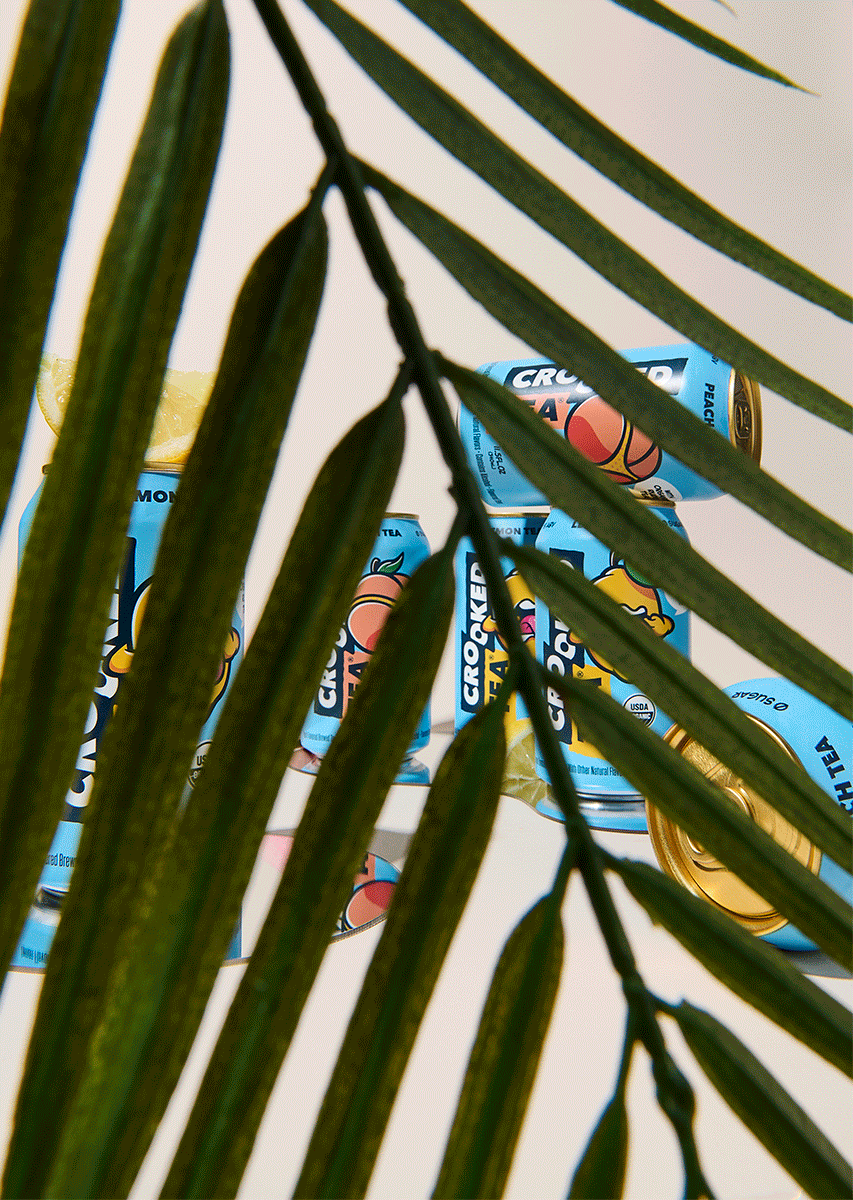 CrookedTea_Palm_Zoom