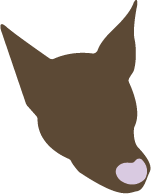 luke, dog mascot of guapa-studios illustration