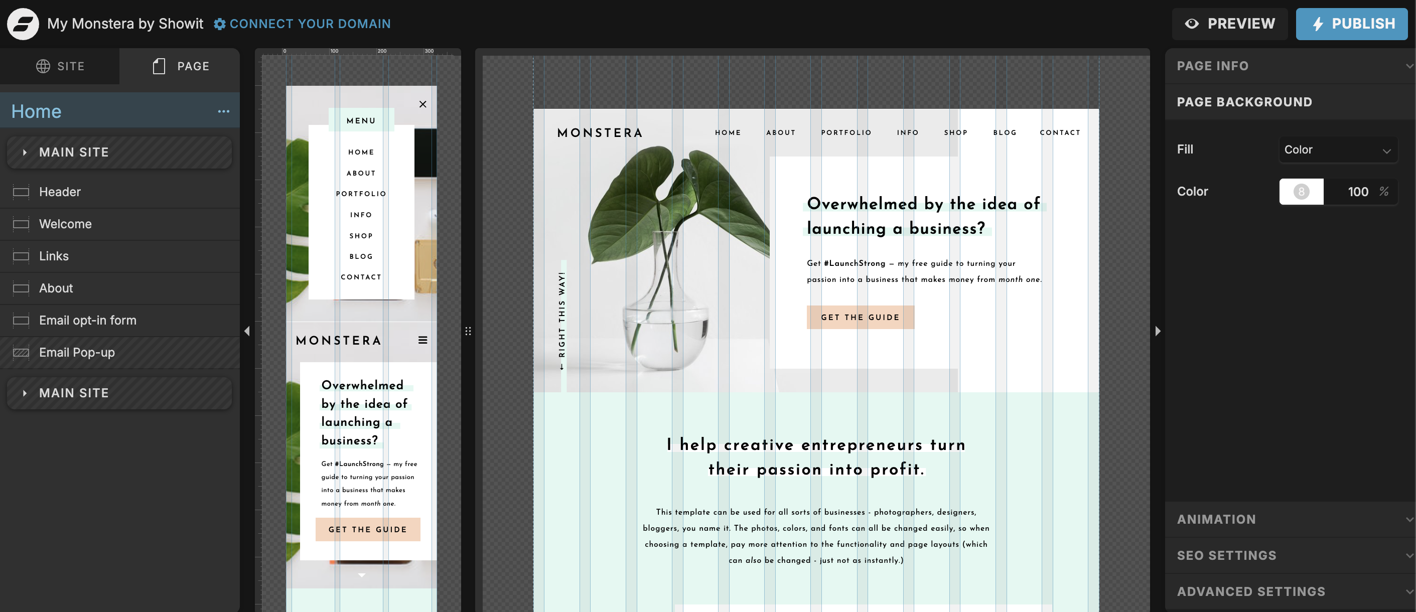 Showit website builder interface example