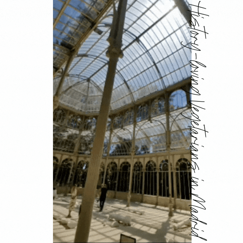 Glass and iron architecture of the Palacio de Cristal in Madrid, with sunlight streaming through the intricate domed ceiling ©Stephanie Dosch | theViatrix Madrid Luxury Travel Guide
