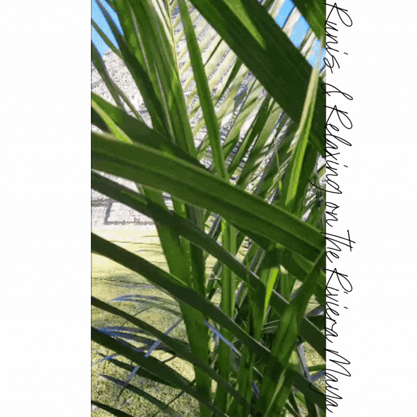 Mayan ruins of Chichén Itzá partially hidden behind lush green palm fronds, with bright sunlight casting shadows on the ancient stone structures ©Stephanie Dosch | theViatrix Riviera Maya Luxury Travel Guide