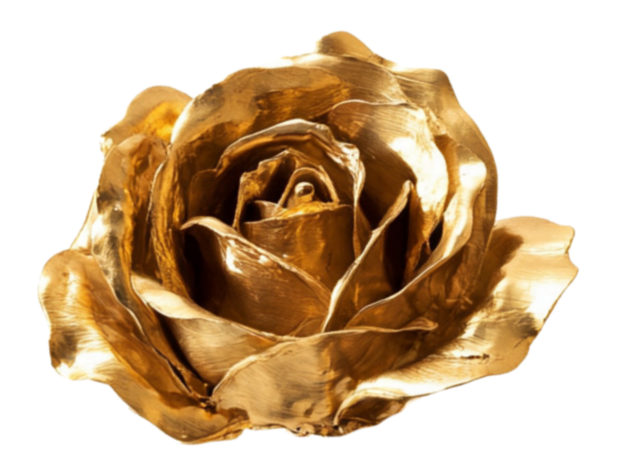 Gold Rose