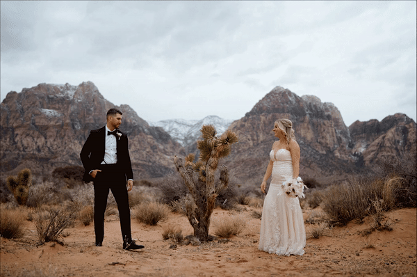 Destination Las Vegas Desert Weddings
