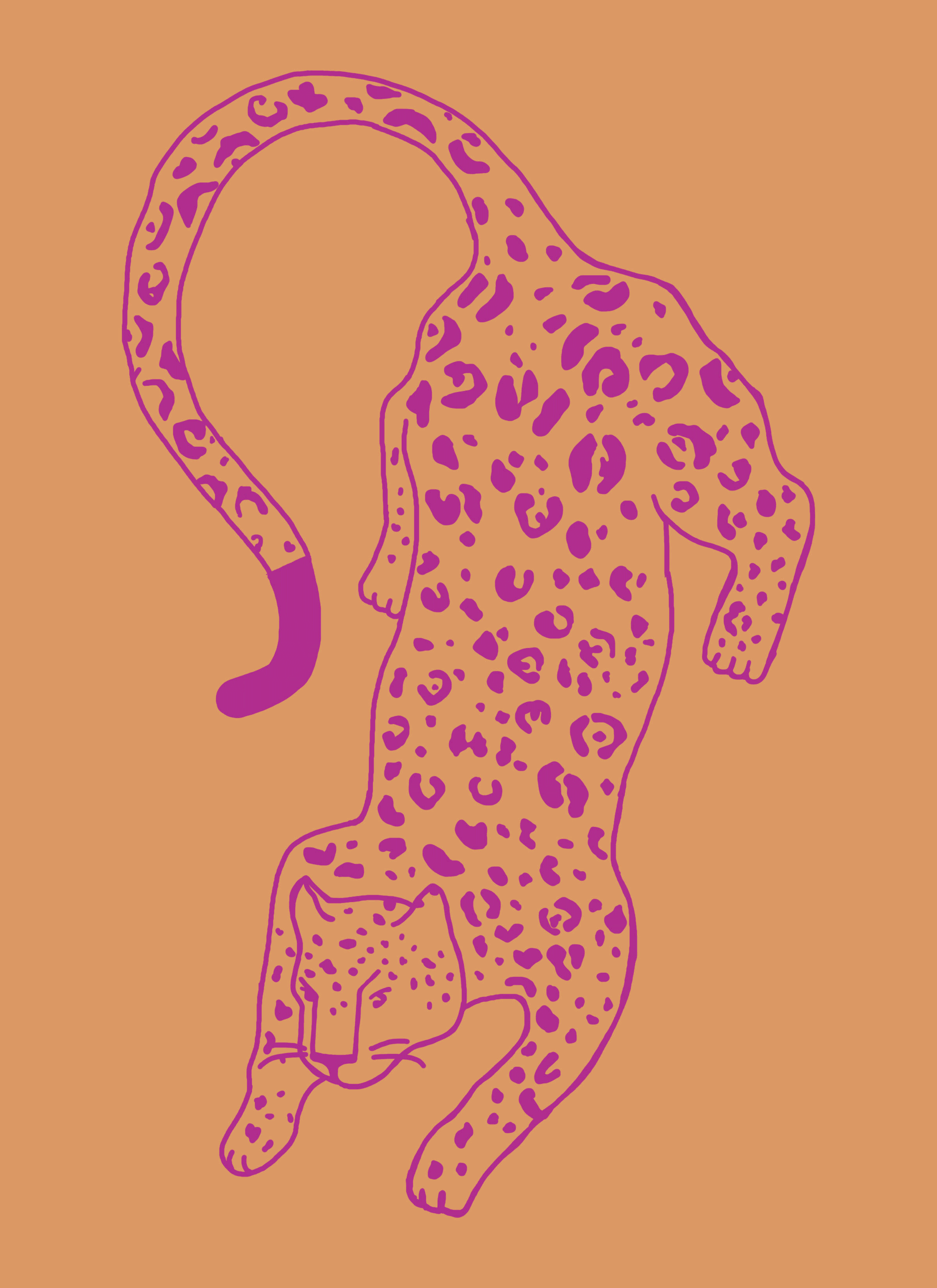 cheetah-1