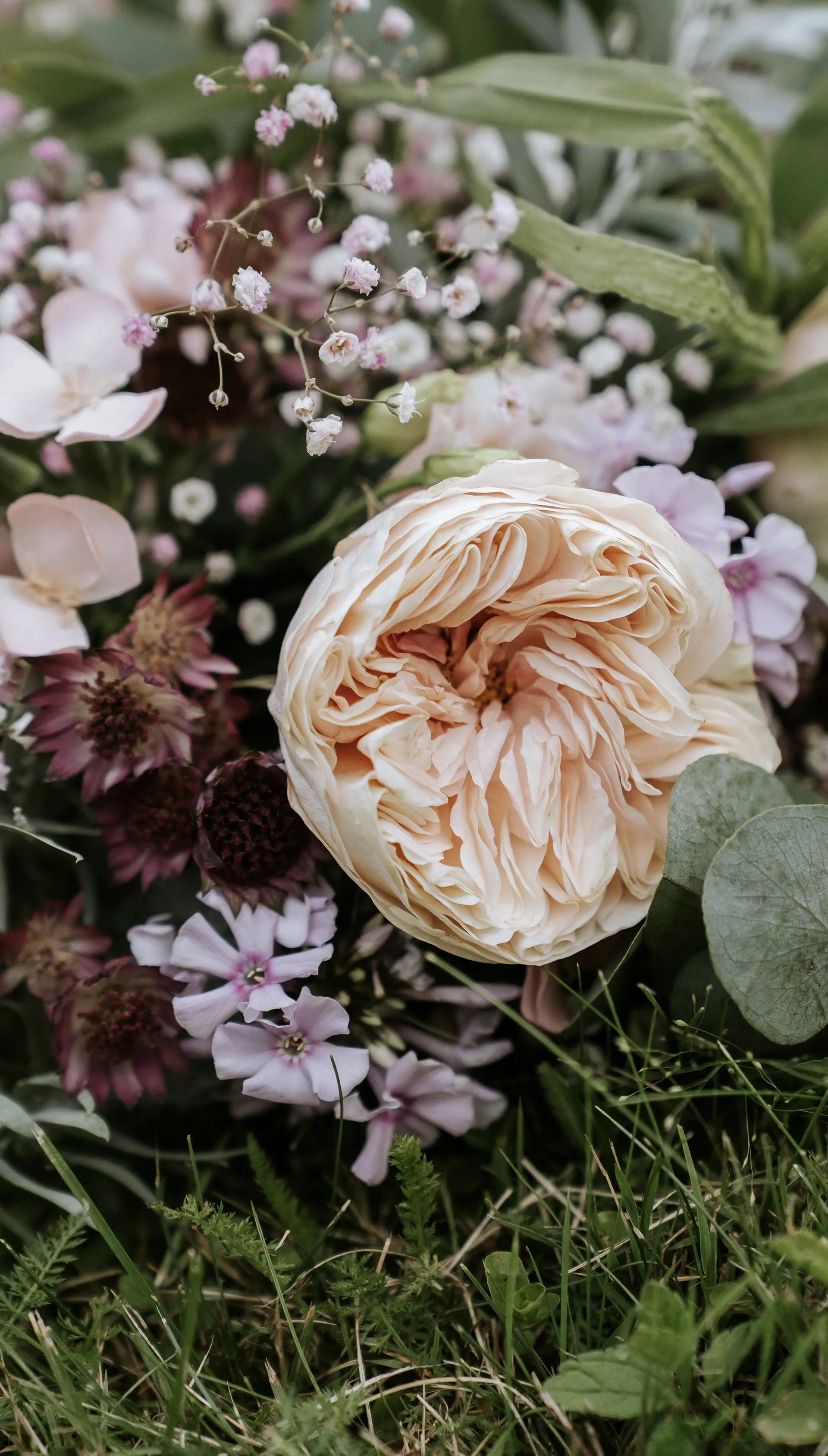 Strauß mit apricotfarbener Gartenrose, rosa Blüten und Eukalyptus auf Rasen – ideal für natürliche hochzeitsfotografie und hochzeitsbilder draußen
