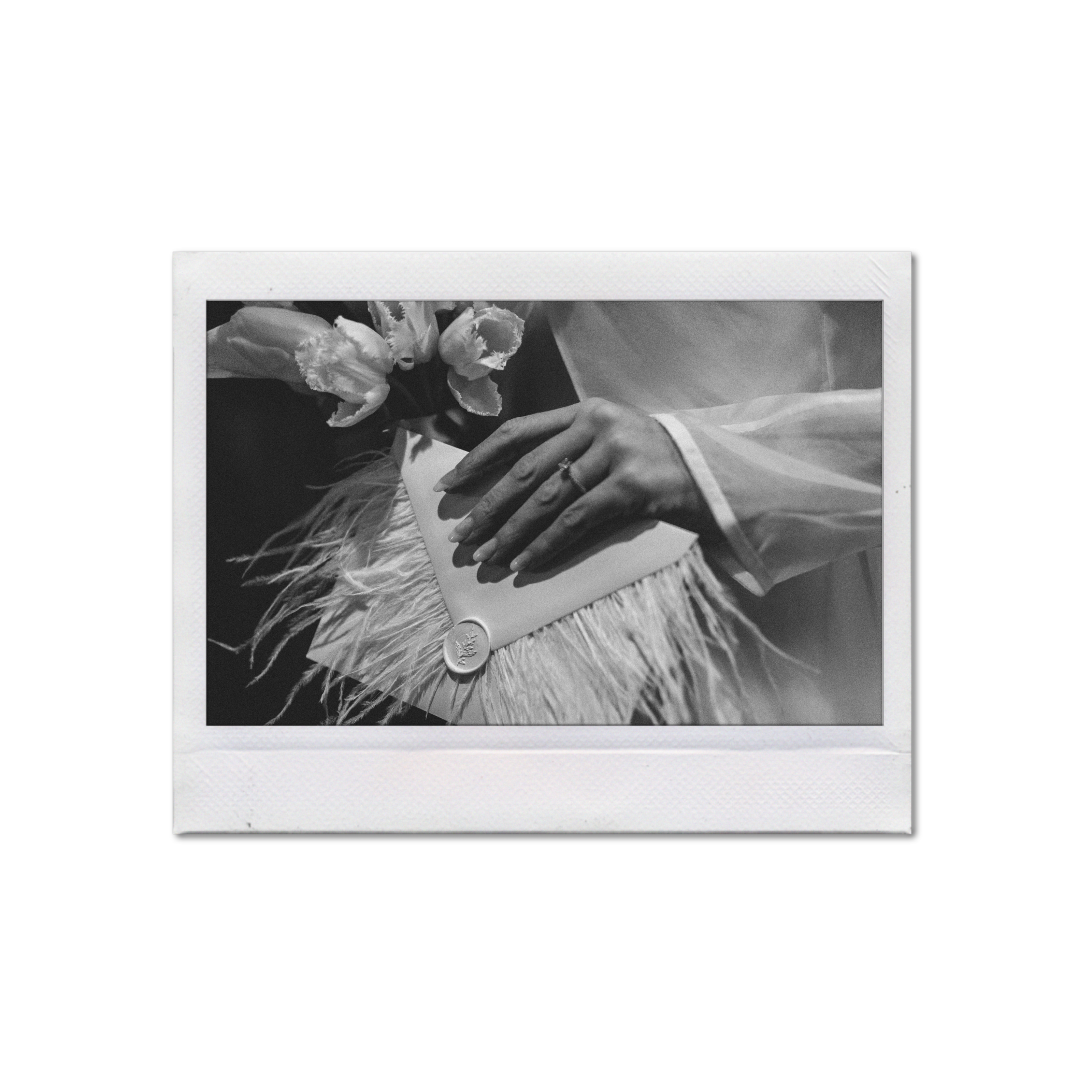 polaroid