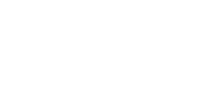 logo 12