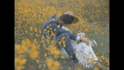 A video of a couple sitting in a meadow full of yellow flowers. The video starts with them reaching for each other's hands and ends with them sitting together in the meadow