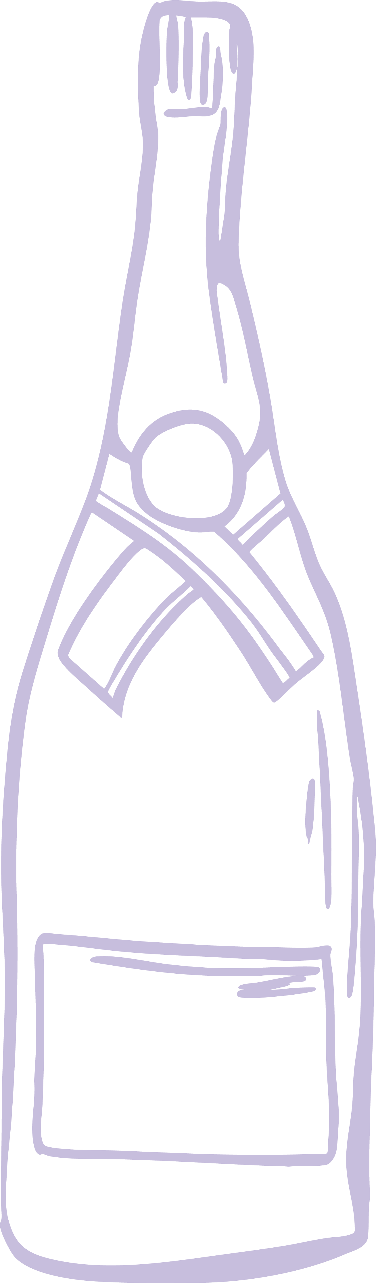 Champagne Bottle