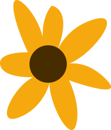 Rotating Image