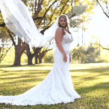 Bride getting veil thrown