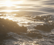 waves lapping over rock