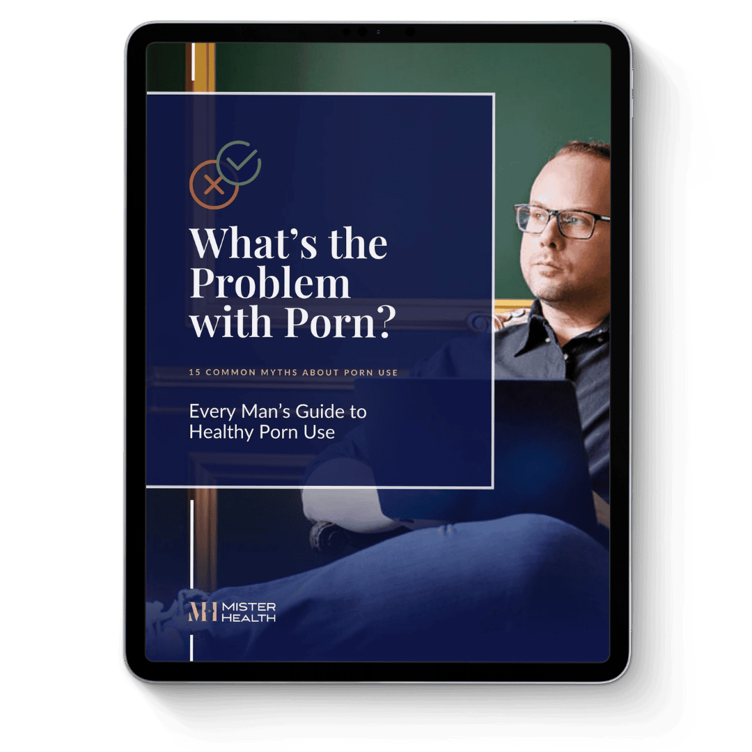 What’s the Problem with Porn? guide