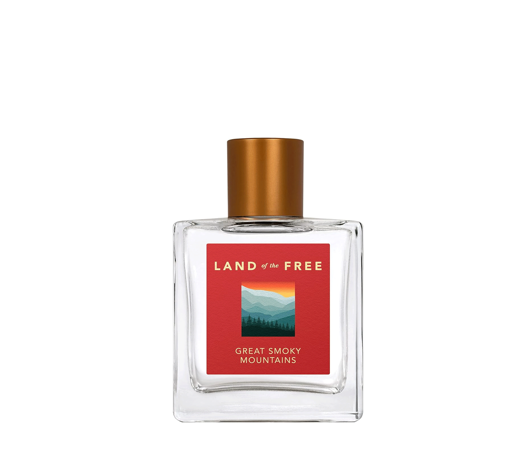 edt_primary