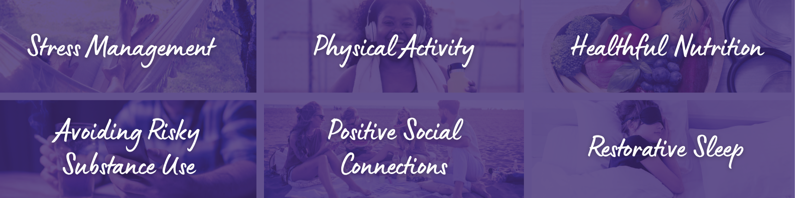 Lifestyle Medicine Pillars