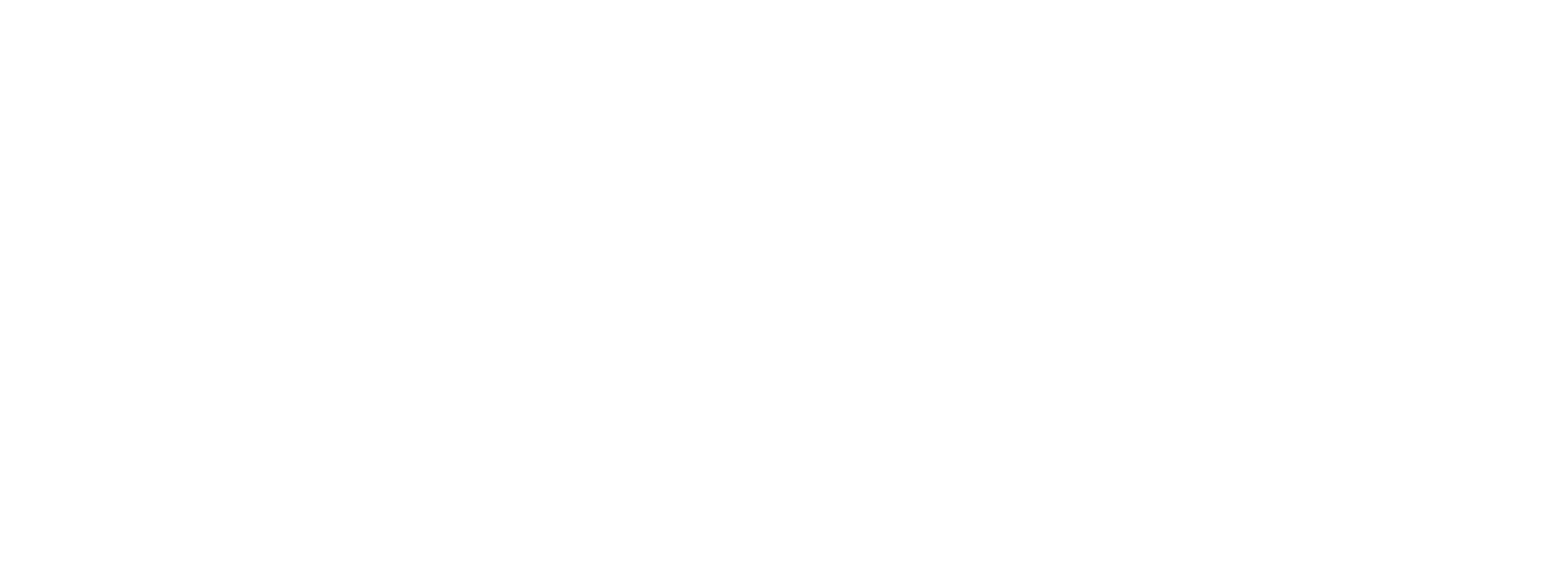 Expertinnennetz