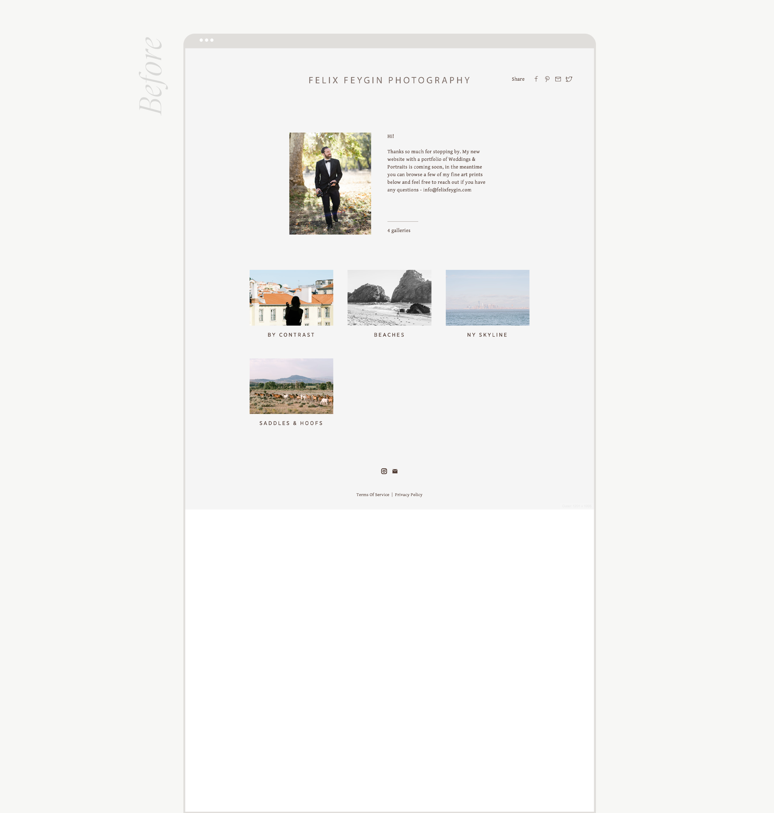 mockup of wedding professional website
