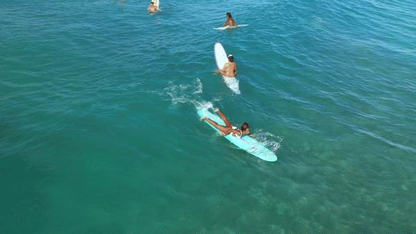 Beauty Wolfe Website Templates are designed for beauty salons, the beauty boss, estheticians, brow artist, hair stylist, lash artist, beauty blogger, nail salon.