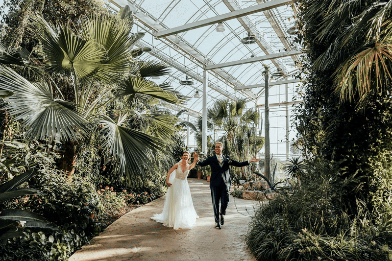 RHS_WISLEY_GIF-ezgif.com-video-to-gif-converter